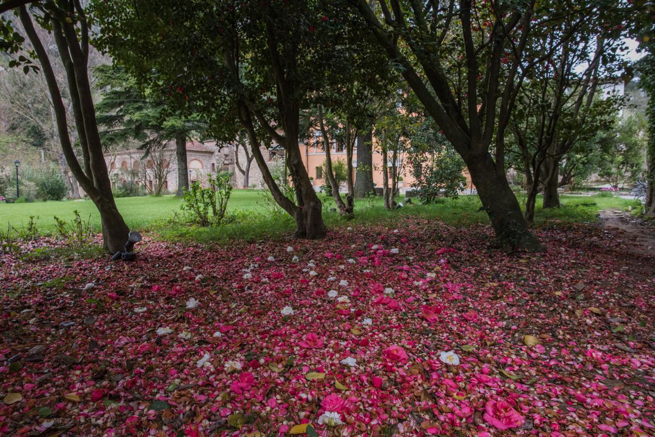 Relais Corte Rodeschi Camaiore Ngoại thất bức ảnh