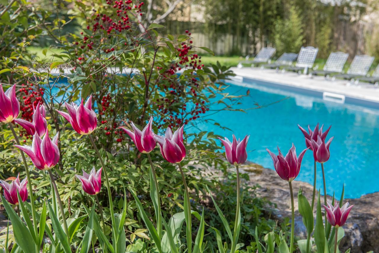 Relais Corte Rodeschi Camaiore Ngoại thất bức ảnh